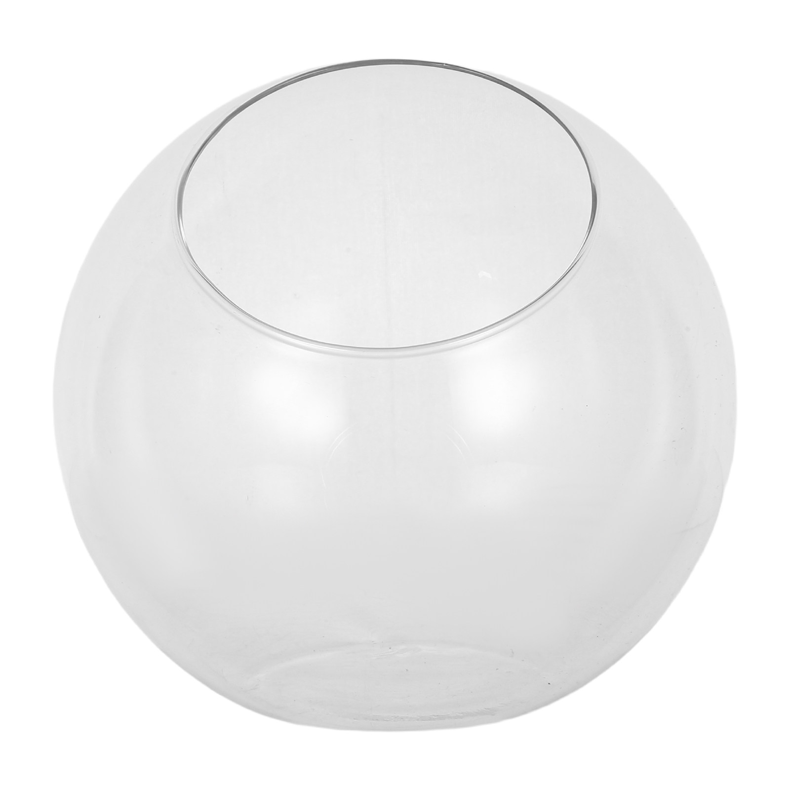Terrarium Glass Bottle - 1 pièce – Mini terrarium compact