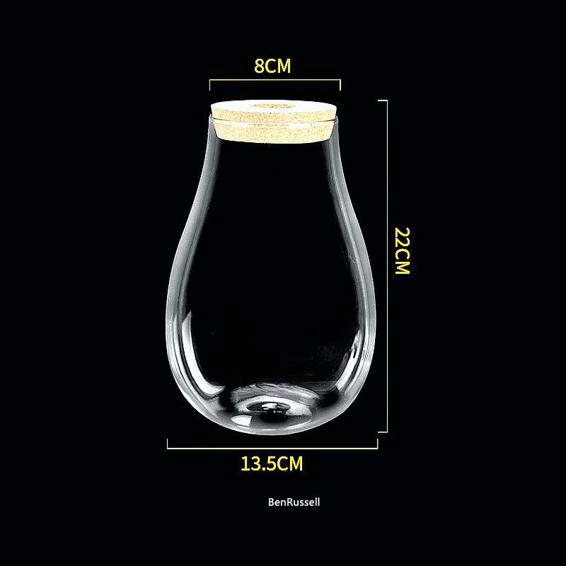 Pots en verre en forme de gout - Terrarium Glass Bottle avis et prix