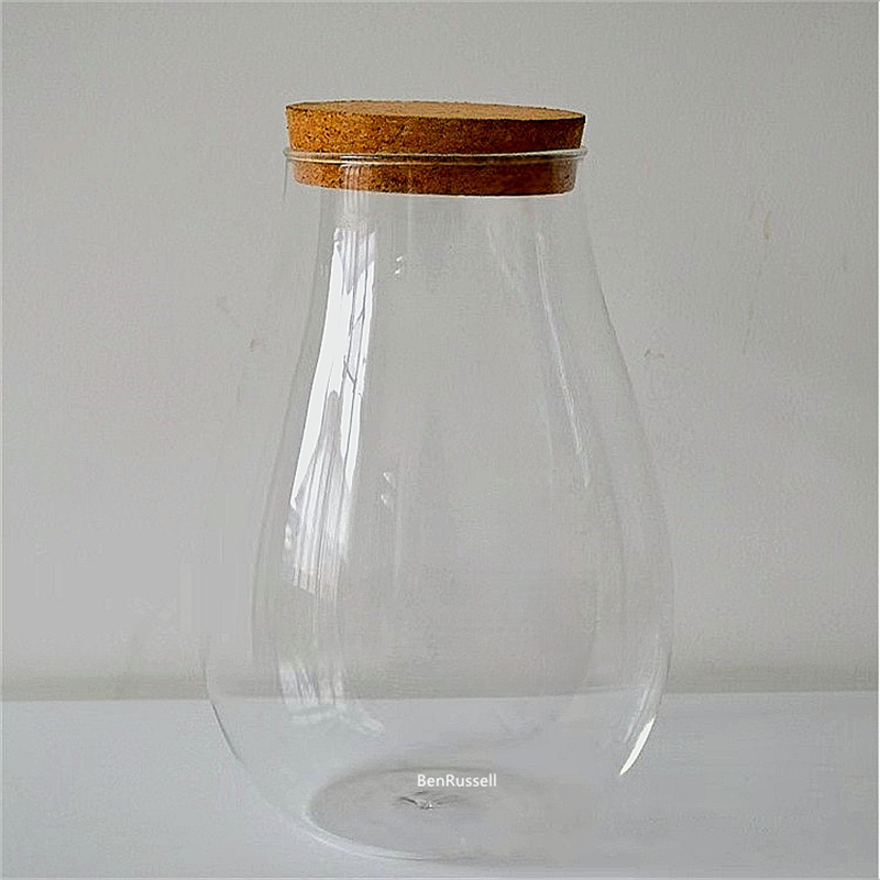 Pots en verre en forme de gout - Terrarium Glass Bottle avis et prix