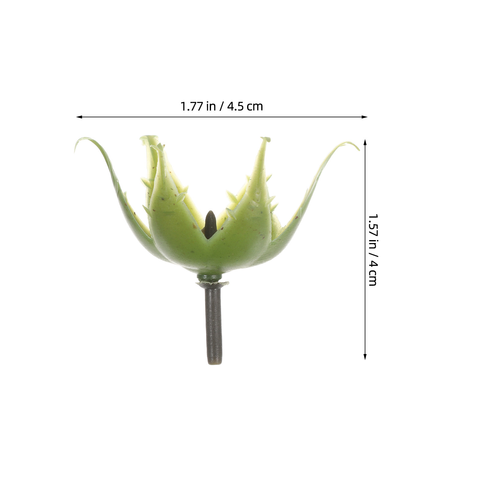 200 Ensembles de Calices Flora - Home Decor Event avis et prix