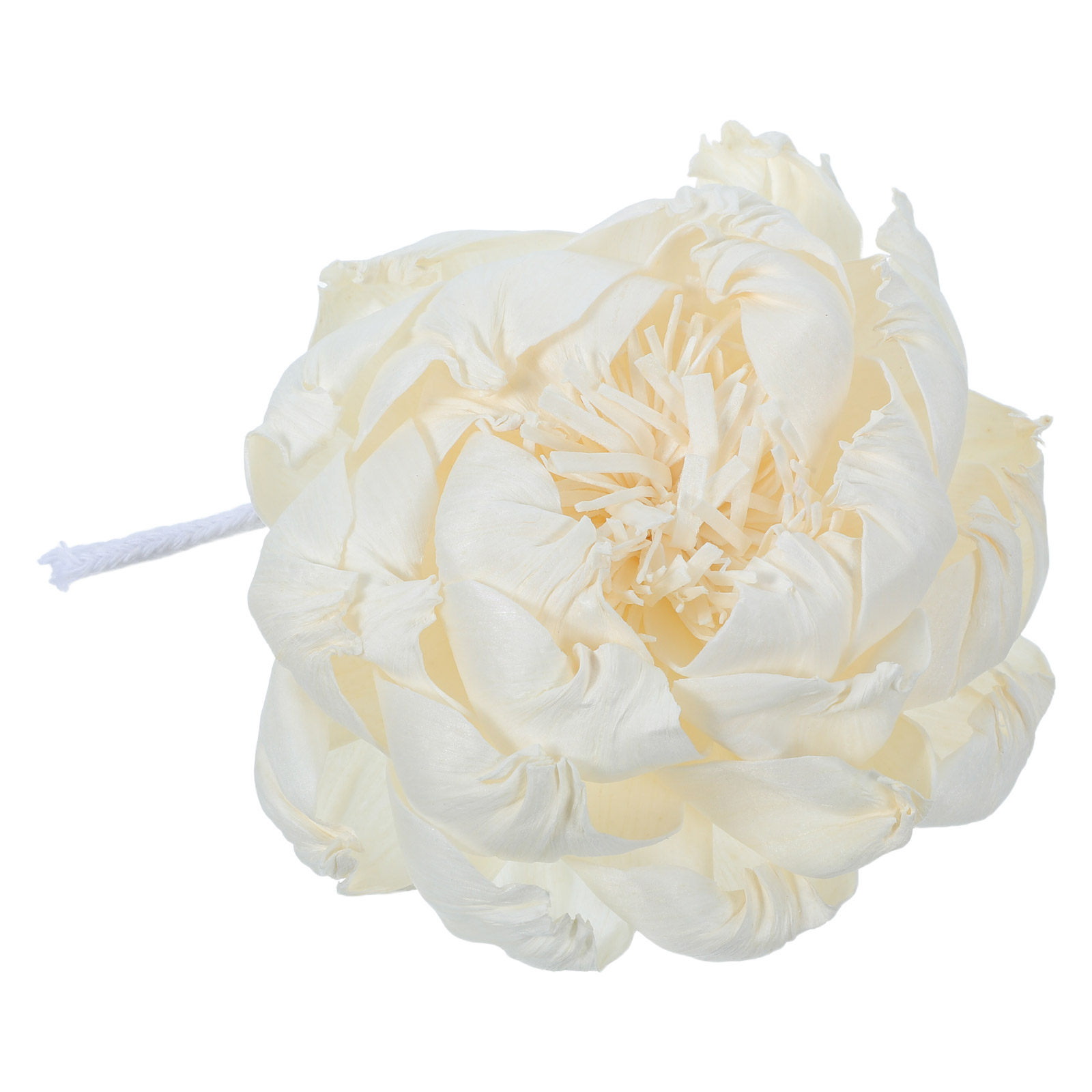 Diffuseur d'arômes en forme de - Home Decor Essentials avis et prix