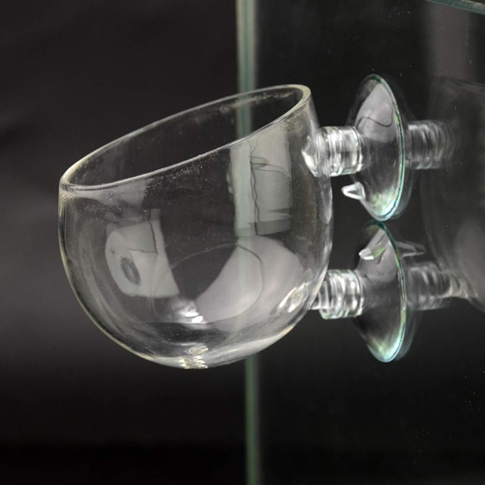 Support pour plantes d'aquariu - Terrarium Glass Bottle avis et prix
