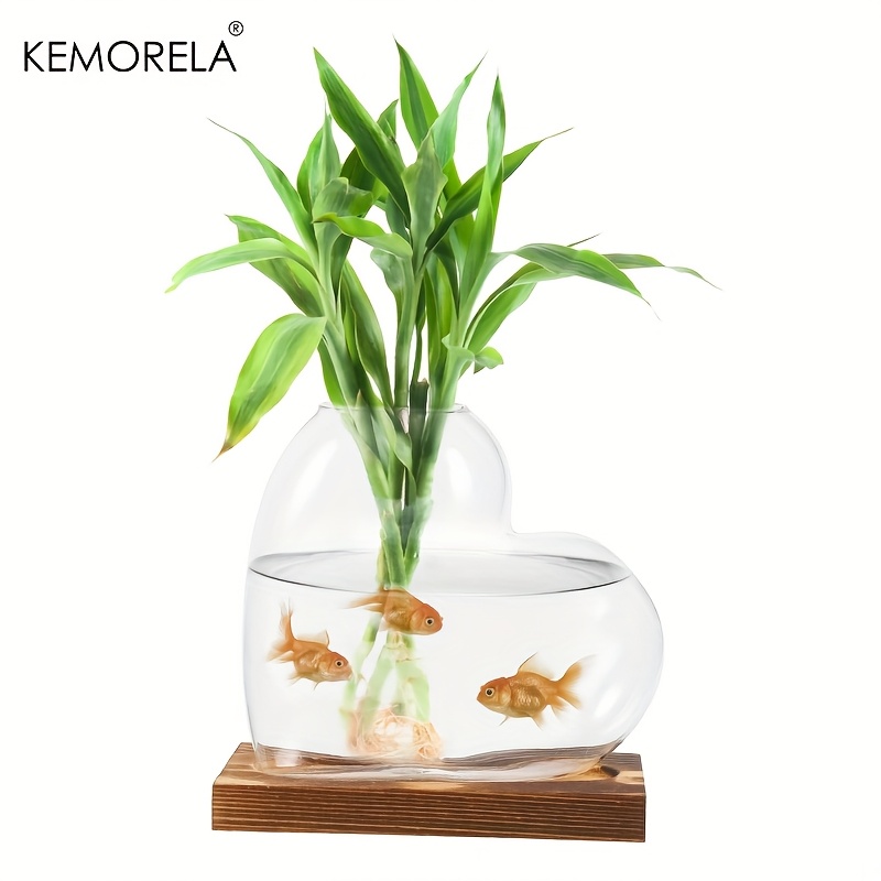 Vase hydroponique d'amour 1/2  - Terrarium Glass Bottle avis et prix