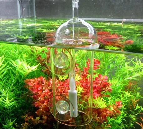 VIV Do-Dispositif d'Intervalle - Terrarium Glass Bottle avis et prix