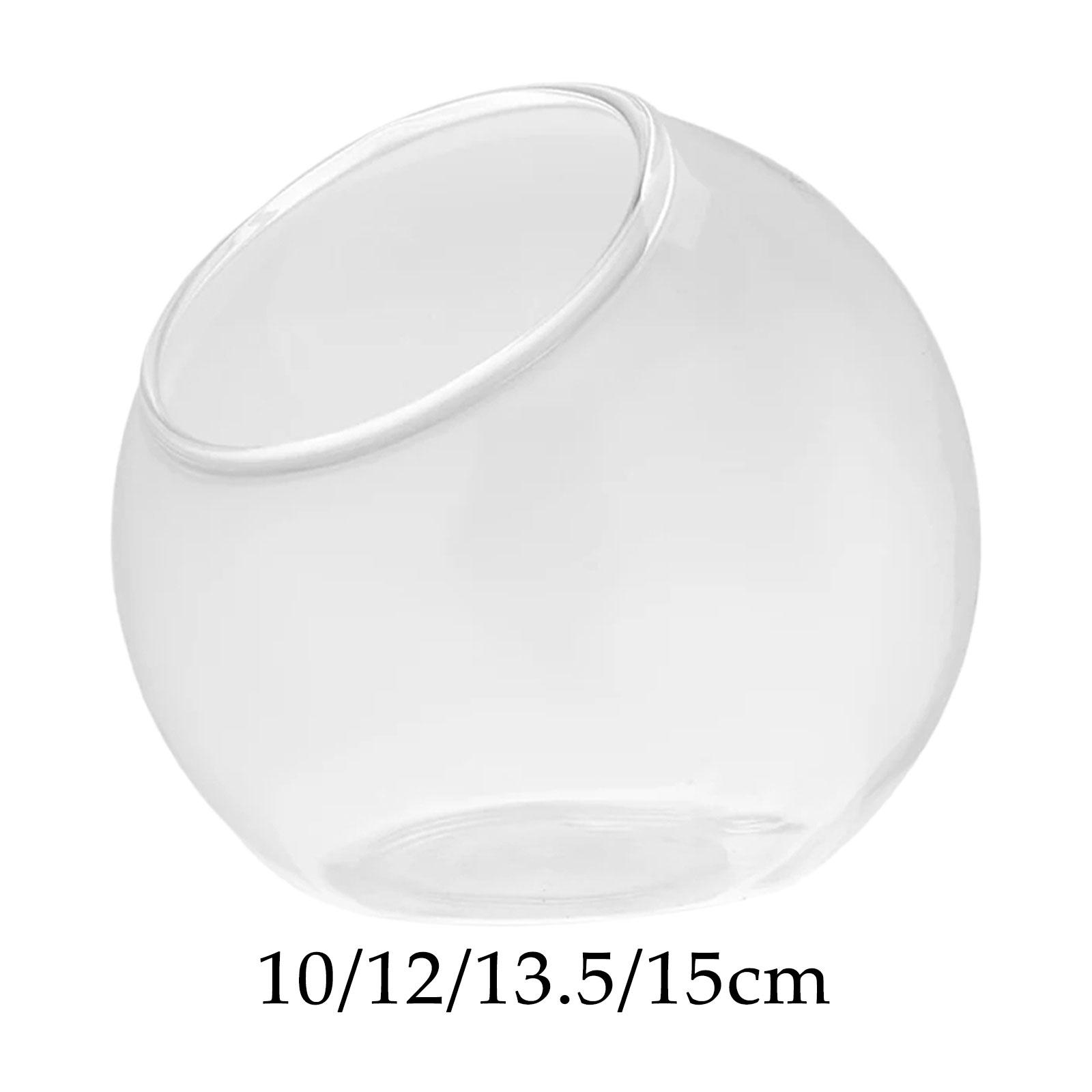 Vase en verre de terrarium, pi - Terrarium Glass Bottle avis et prix