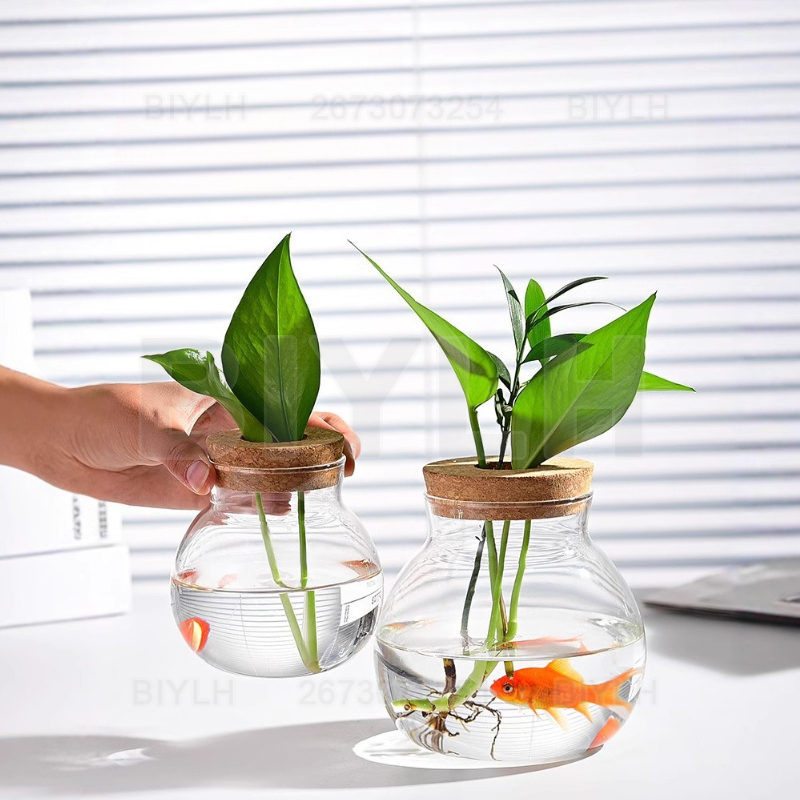 Vase en verre pour plantes hyd - Terrarium Glass Bottle avis et prix