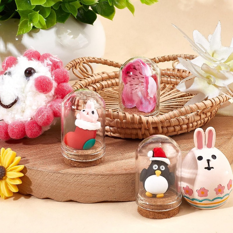 20 ensembles de Cloche en verr - Terrarium Glass Bottle avis et prix