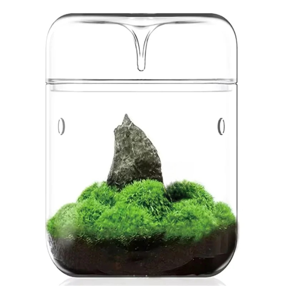 Terrarium écologique de bureau - Terrarium Glass Bottle avis et prix