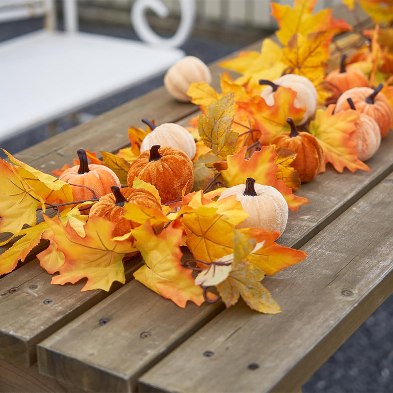 Décorations de citrouilles en  - Home Decor Modern Organic avis et prix