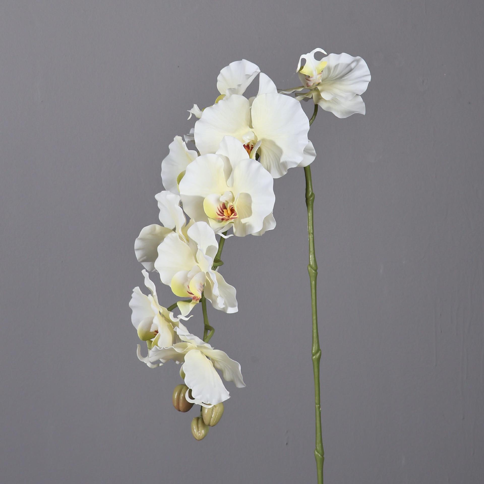 Phalaenopsis artificiel de Sty - Home Decor Korea avis et prix