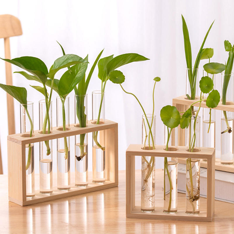 Conteneur de plantes hydroponi - Terrarium Glass Bottle avis et prix