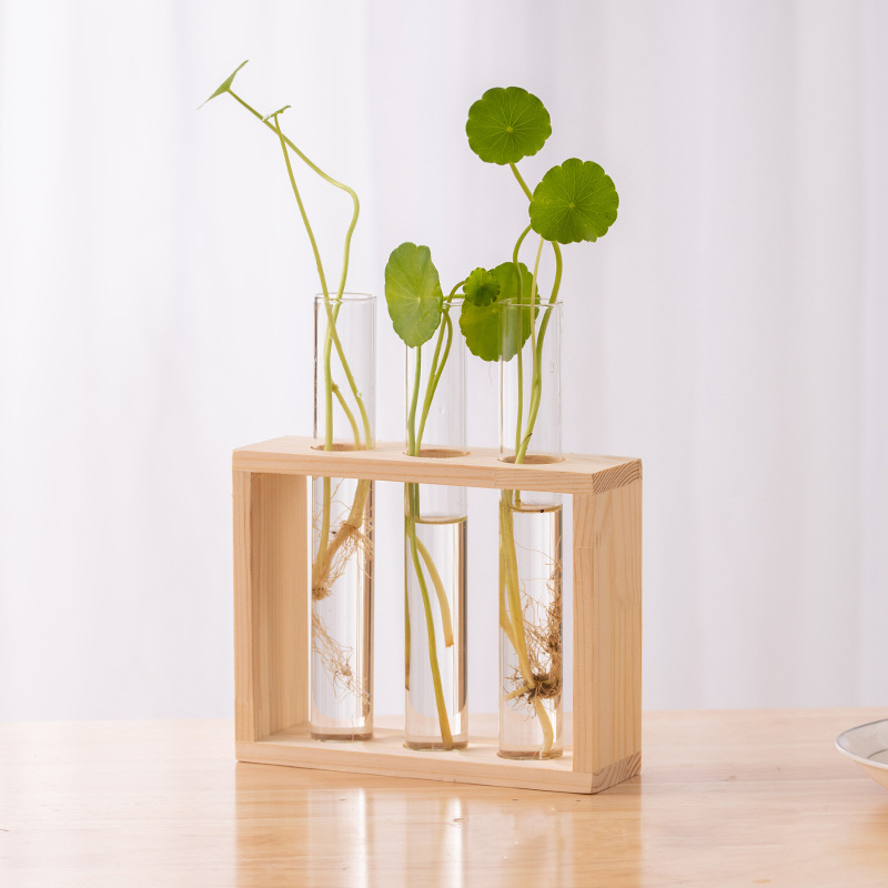 Conteneur de plantes hydroponi - Terrarium Glass Bottle avis et prix