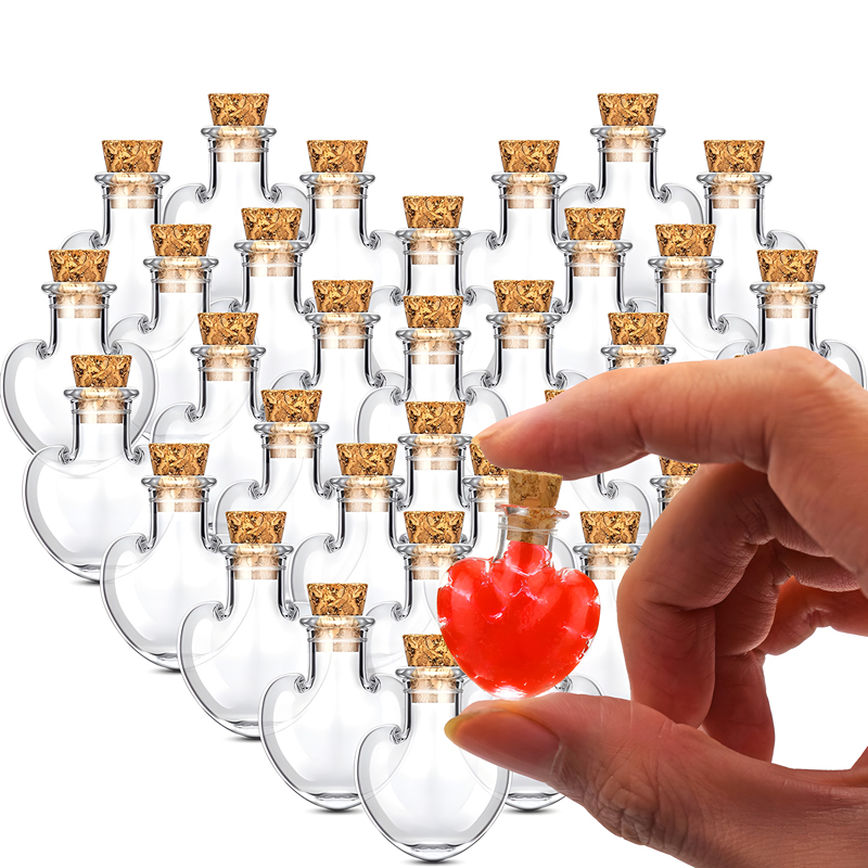 Bouteilles en verre transparen - Terrarium Glass Bottle avis et prix